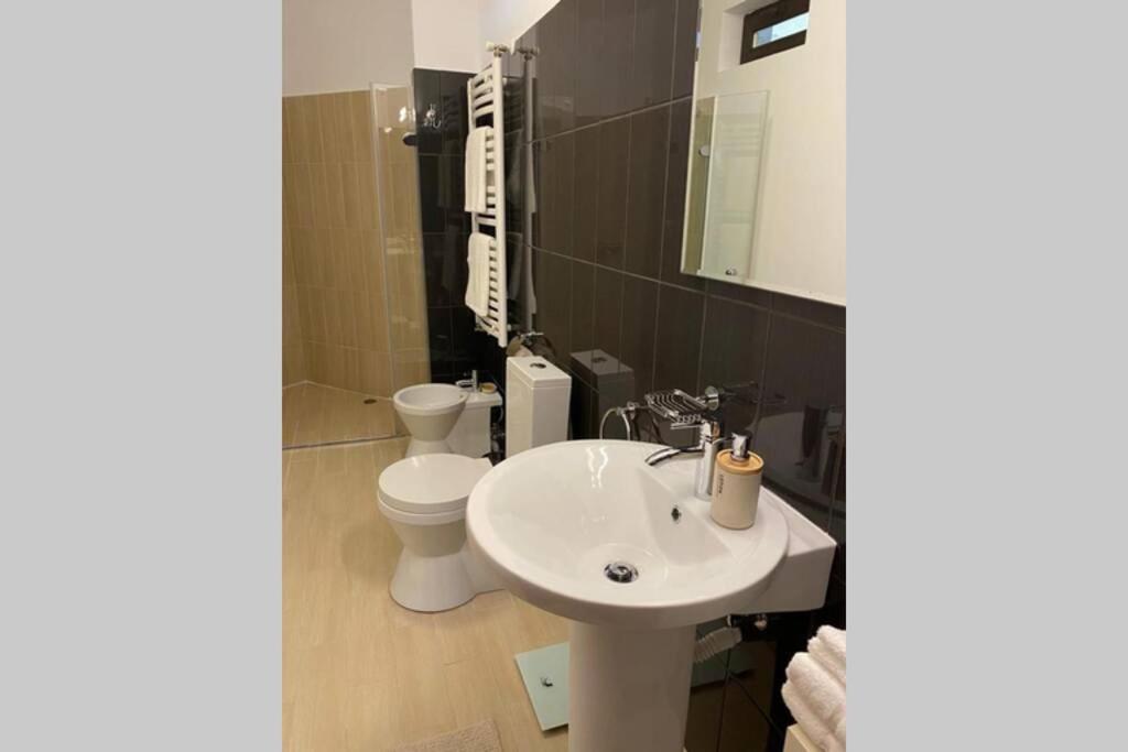 La Tuya Deluxe Villa Iasi Extérieur photo