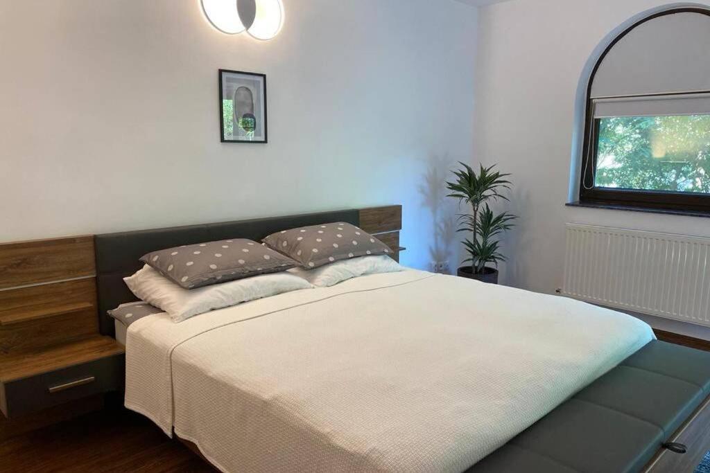 La Tuya Deluxe Villa Iasi Extérieur photo