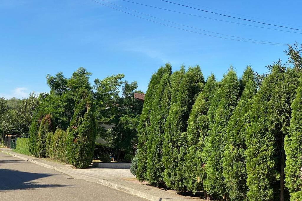 La Tuya Deluxe Villa Iasi Extérieur photo
