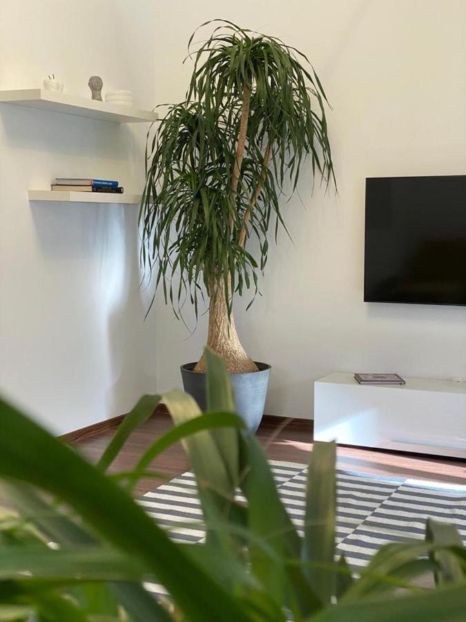 La Tuya Deluxe Villa Iasi Extérieur photo